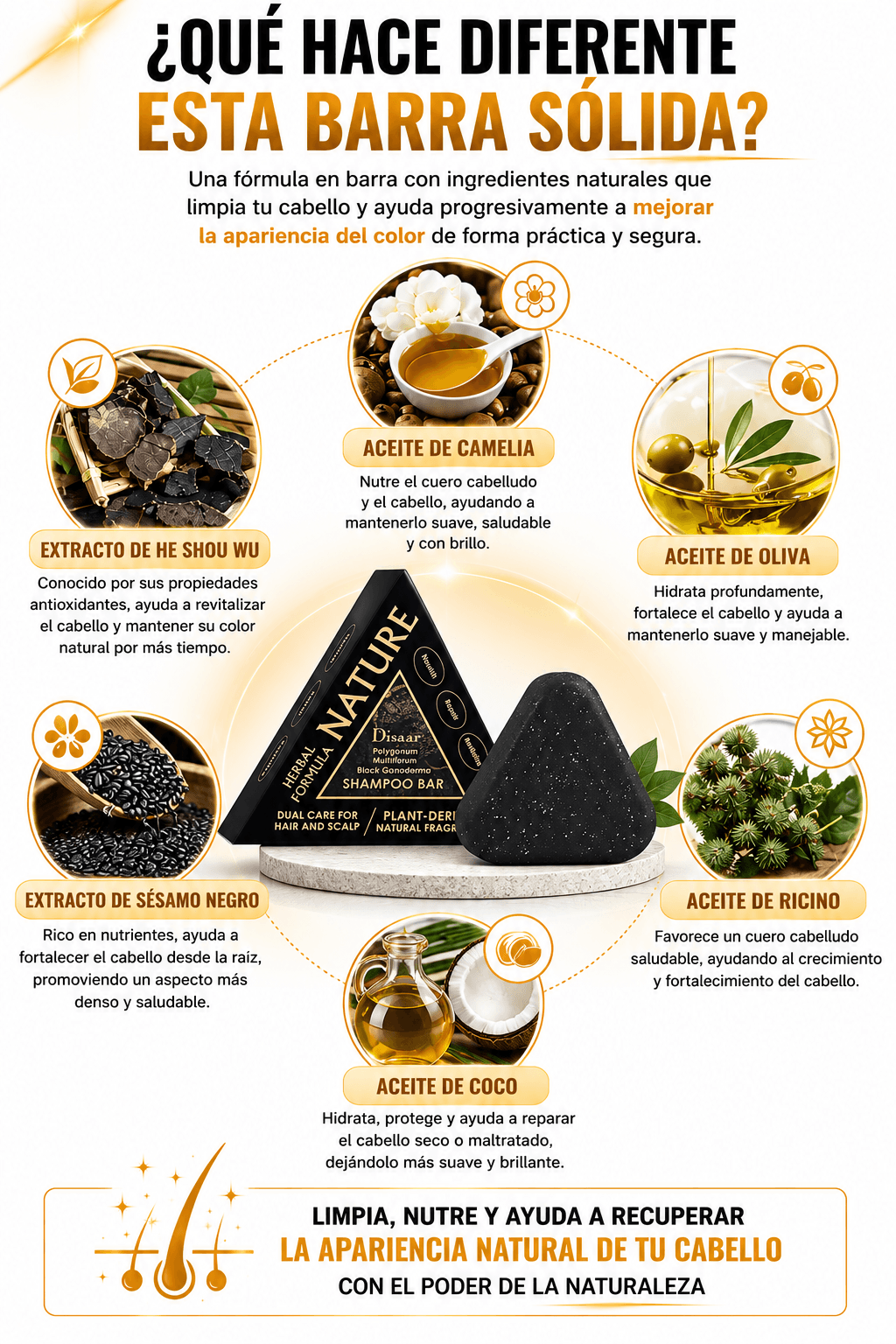 Barra shampoo NoirCare ™ – Oscurece tus canas de forma natural